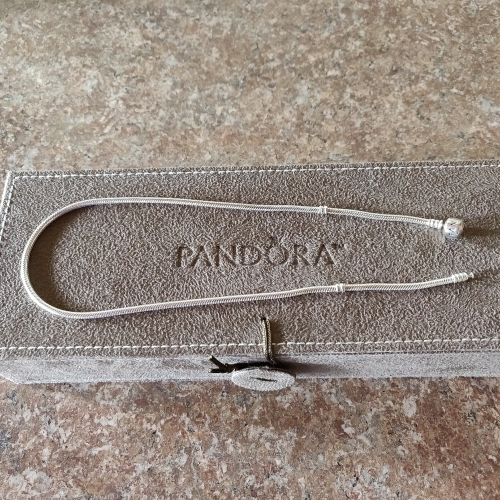 Pandora Charm Necklace